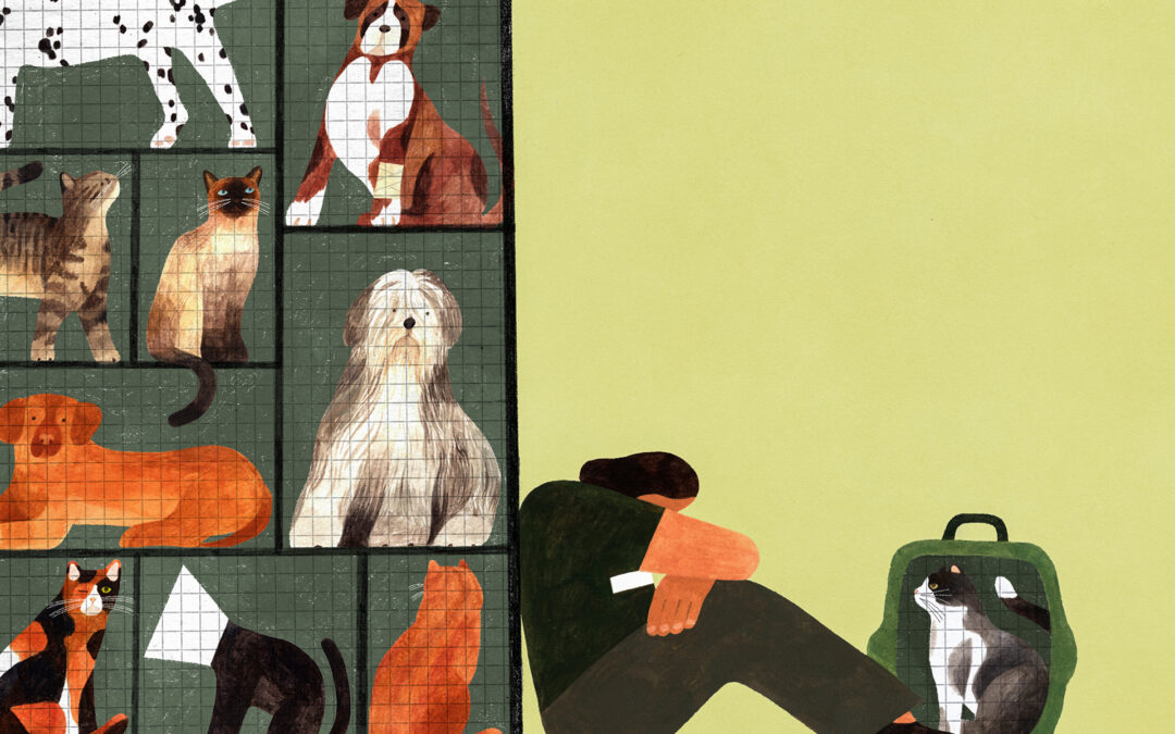 What haunts America’s animal shelter workers