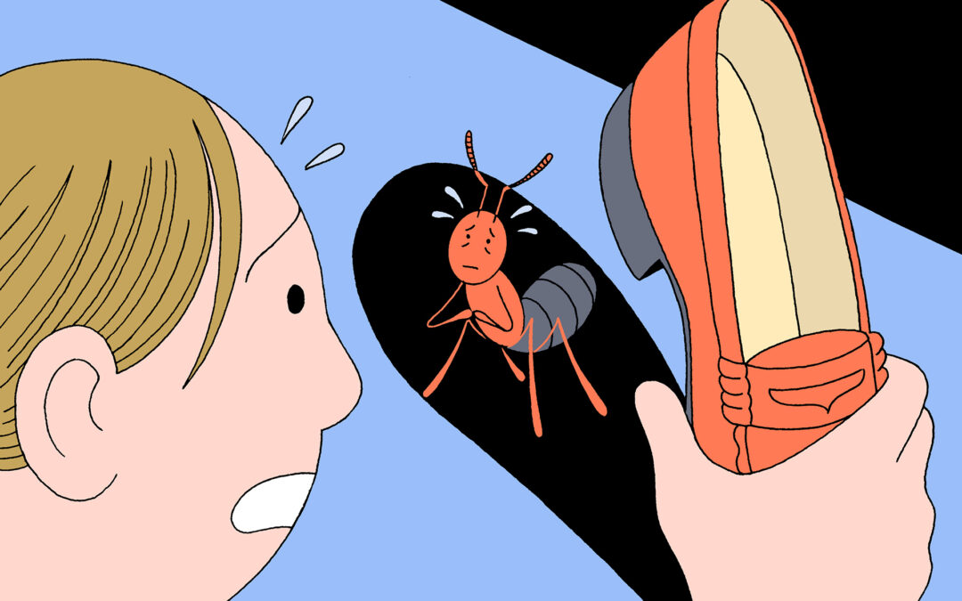 Should you feel guilty for killing the bugs in your house?