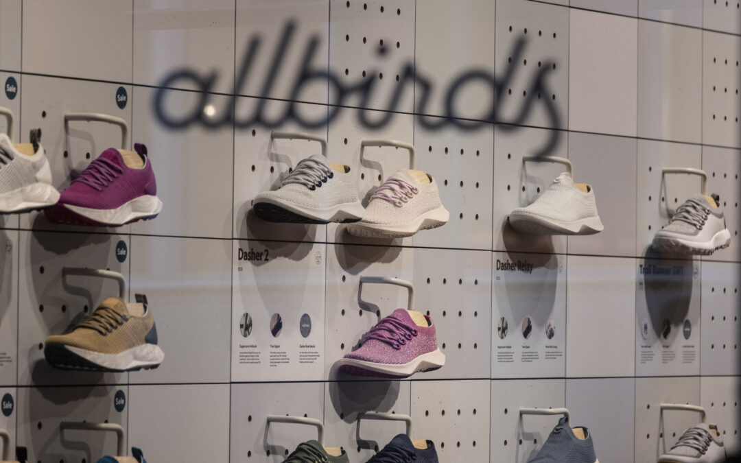 Allbirds announced a switch from shoes to AI and its stock jumped 600 percent