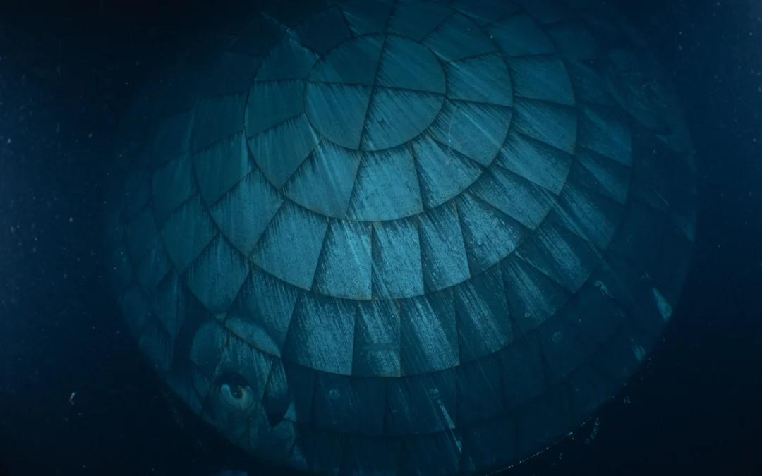 NASA’s initial takeaways from the Artemis II mission, and more science stories