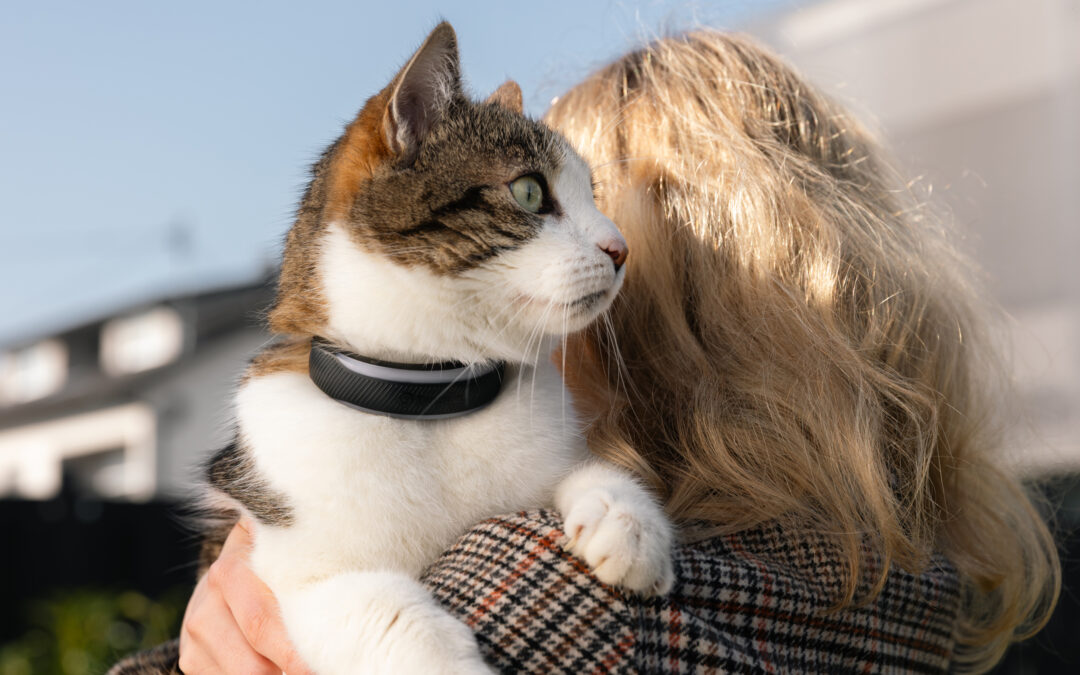 Tractive’s new dog and cat trackers provide more health insights for your pets