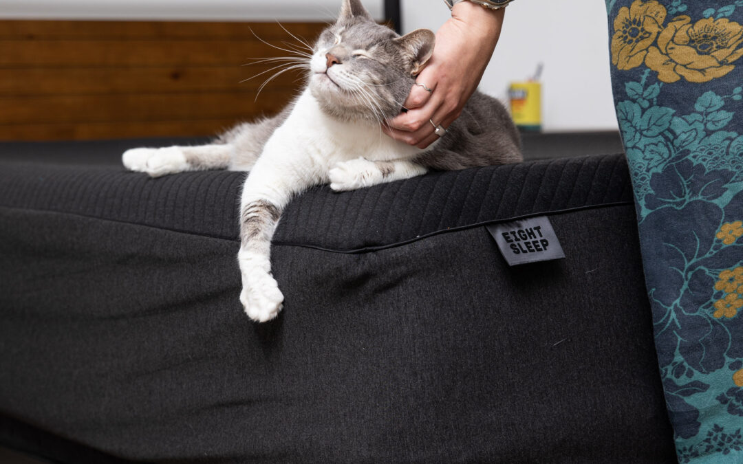 My $5K smart bed needs to shut the hell up