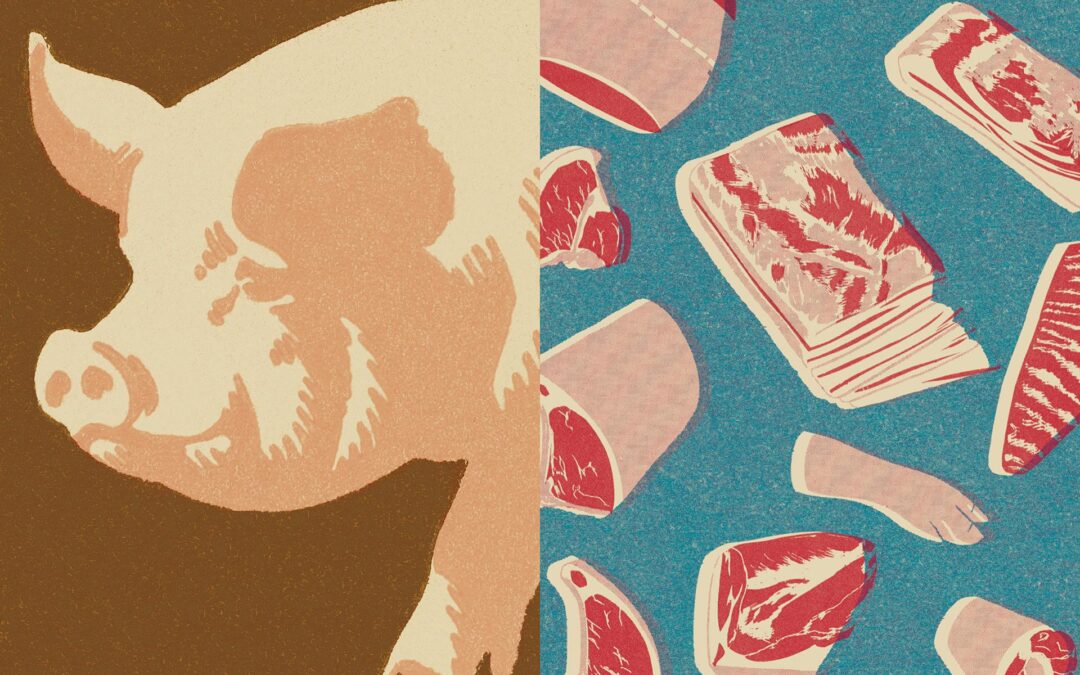 No one likes how animals are treated on factory farms. But no one wants to stop eating them.