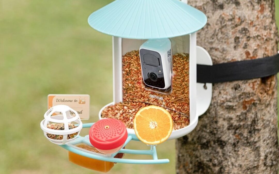Birdfy’s smart bird feeder is down to its best-ever price for Mother’s Day