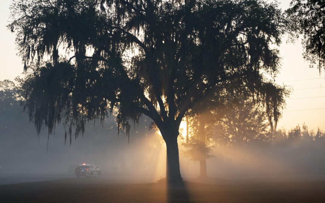 Why the American Southeast is becoming a new hotspot for wildfires
