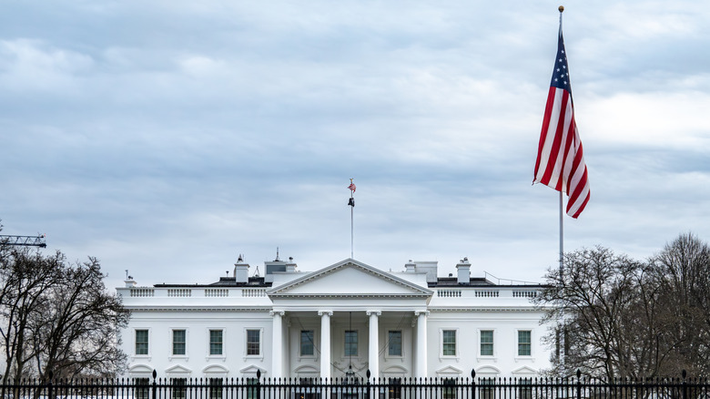The White House is considering tighter regulation of new AI models