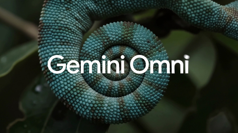 Google’s Gemini Omni can generate ‘anything from any input,’ starting with video