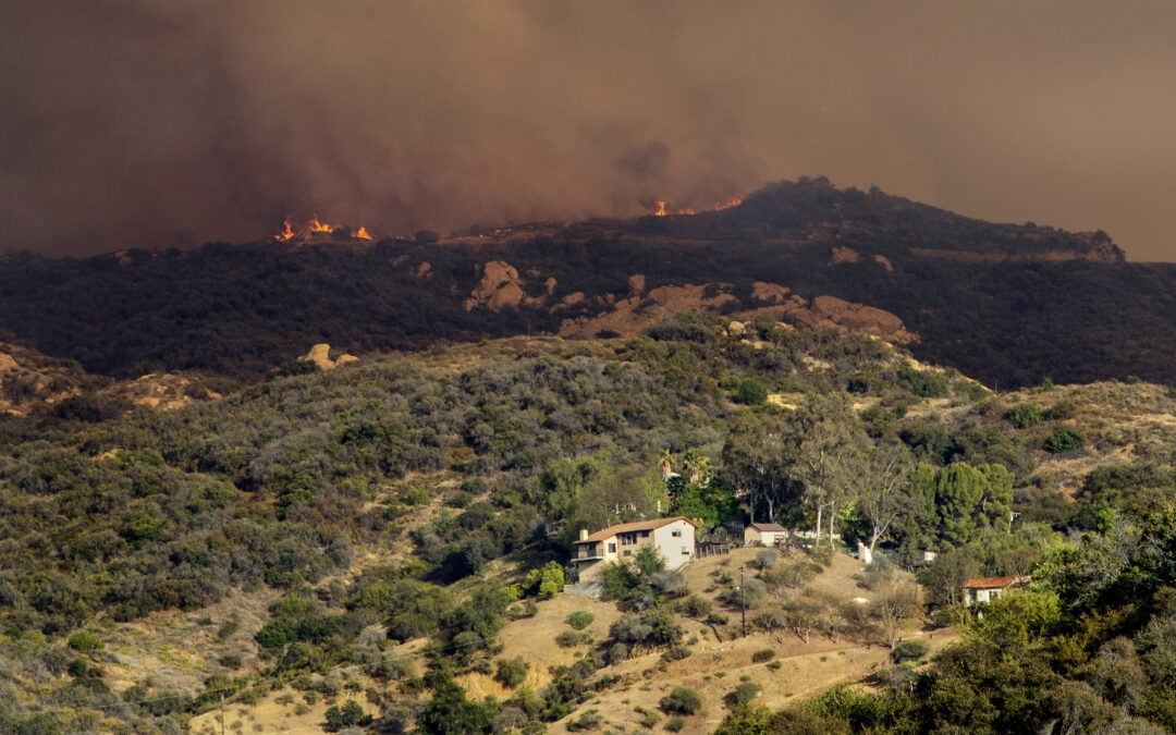Prosecutors used ChatGPT logs as evidence in the Palisades fire trial