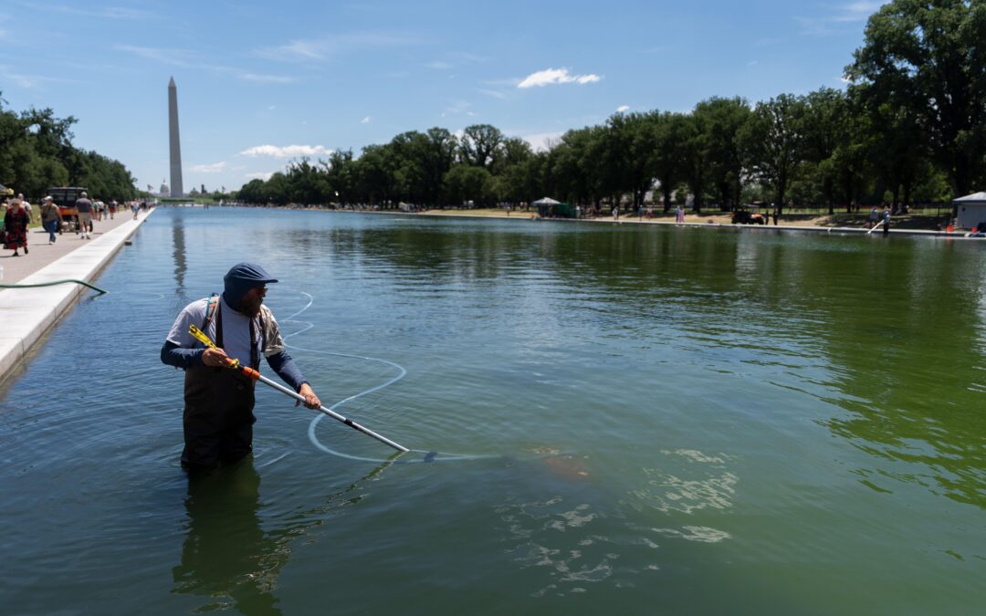 Why Trump is losing his war against algae