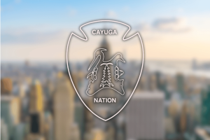 Cayuga Nation sues Caesars over reservation sports betting revenue claims