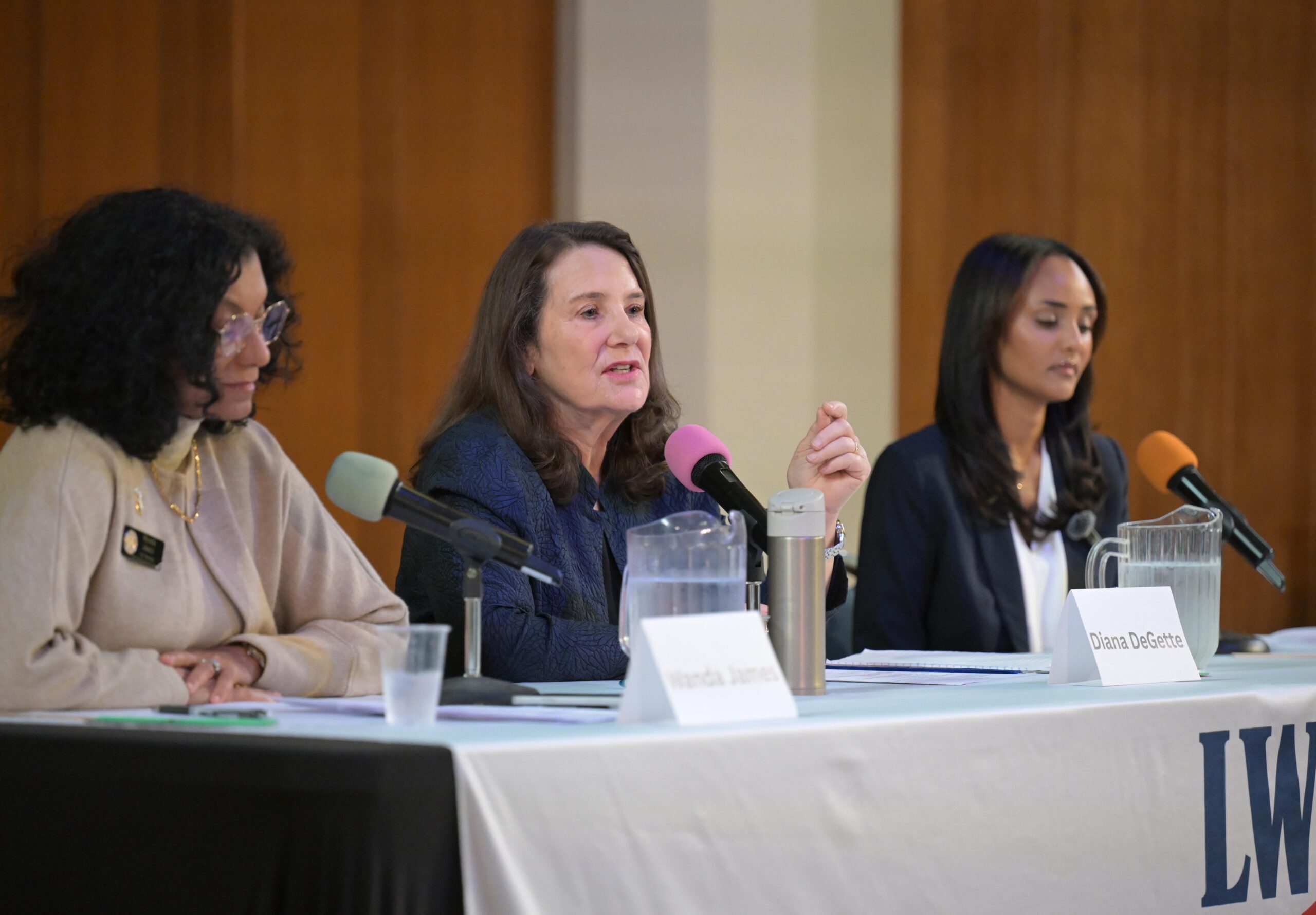 Wanda James, Diana DeGette and Melat Kiros sitting at a table and participating in a candidate forum Wanda James, Diana DeGette and Melat Kiros sitting at a table and participating in a candidate forum