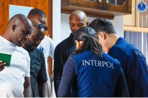 Interpol global crackdown targets online gambling scams and cybercrime