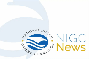 Tribal gaming revenue reaches record $46.2B as industry growth continues