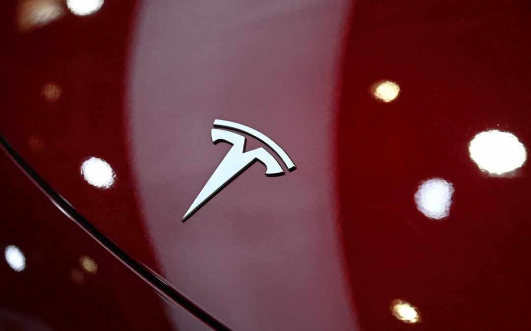 Tesla driver faces manslaughter charges over Texas crash that killed a woman inside her home