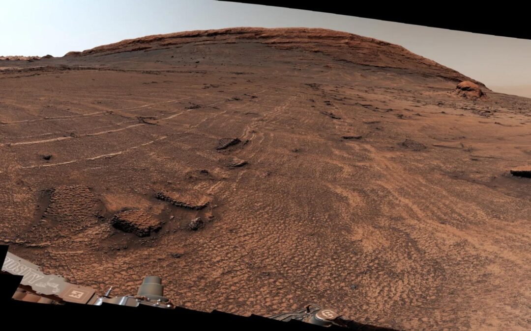 NASA’s Curiosity rover found a ‘sea of polygons’ on Mars