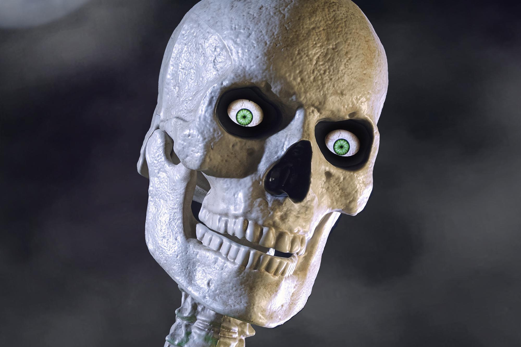 A close-up of the animated LCD eyes on the latest version of Home Depot's Skelly skeleton. A close-up of the animated LCD eyes on the latest version of Home Depot's Skelly skeleton.