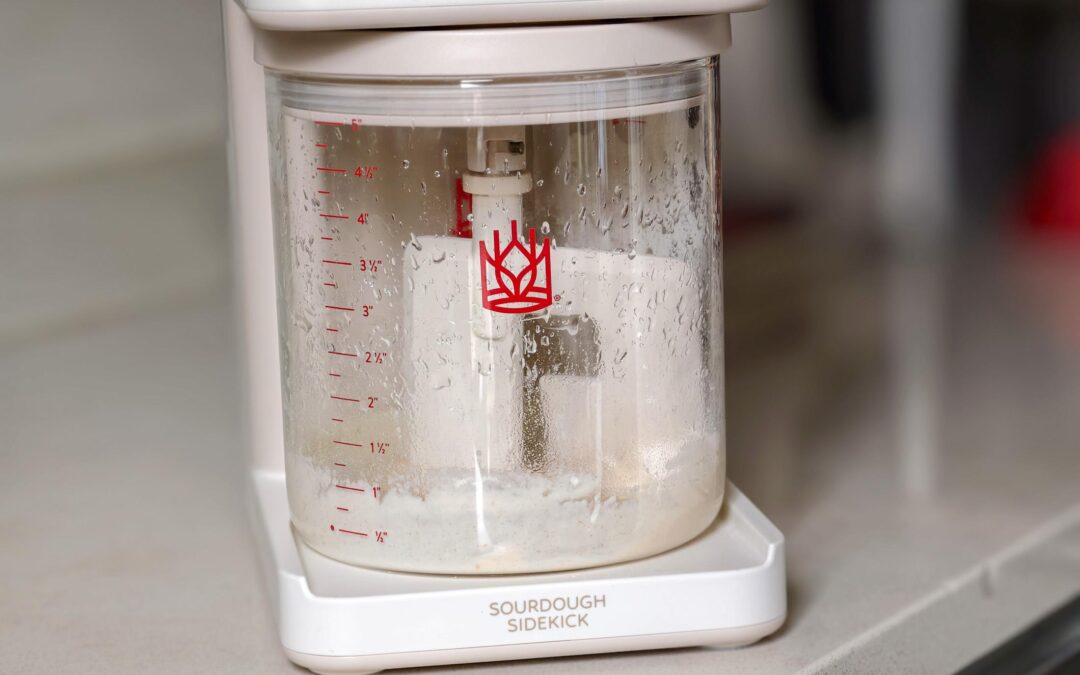 The Sourdough Sidekick automates the boring bit of baking