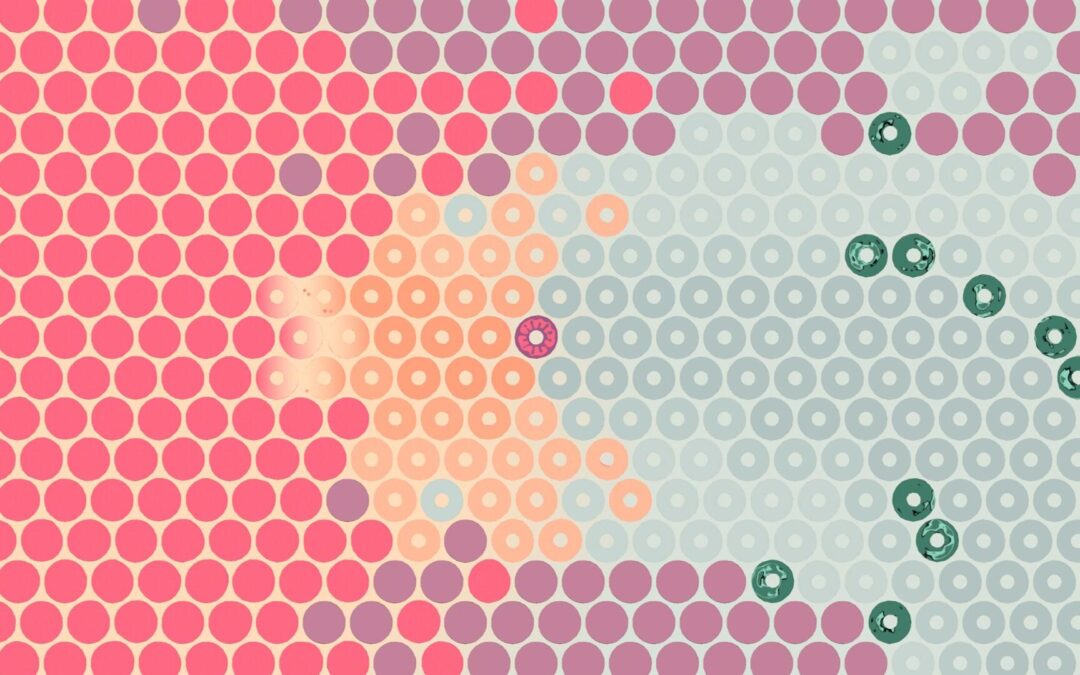 What Surrounds Us will make you think a lot about circles