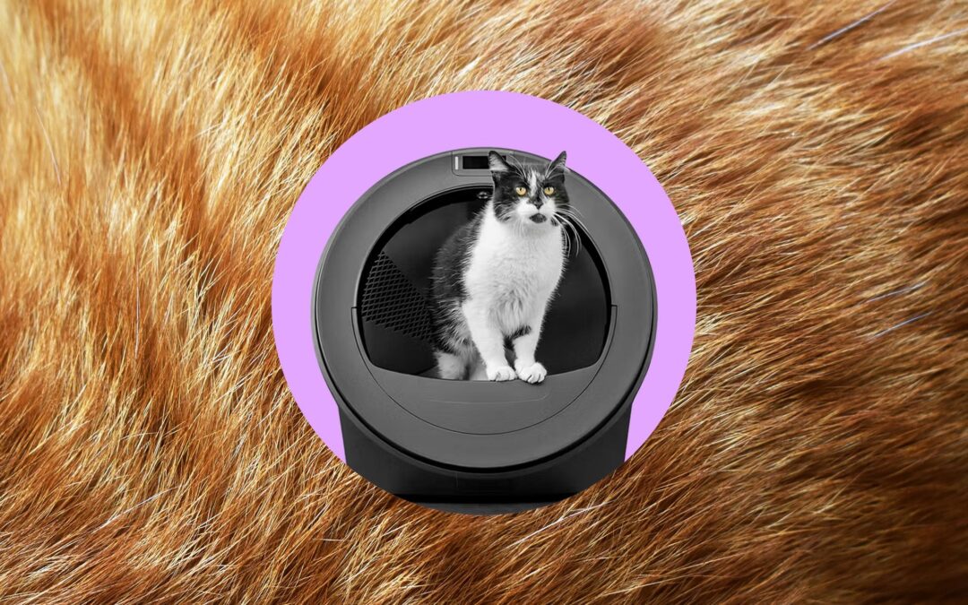 Whisker’s AI-powered litter robot thinks my cats swapped bodies