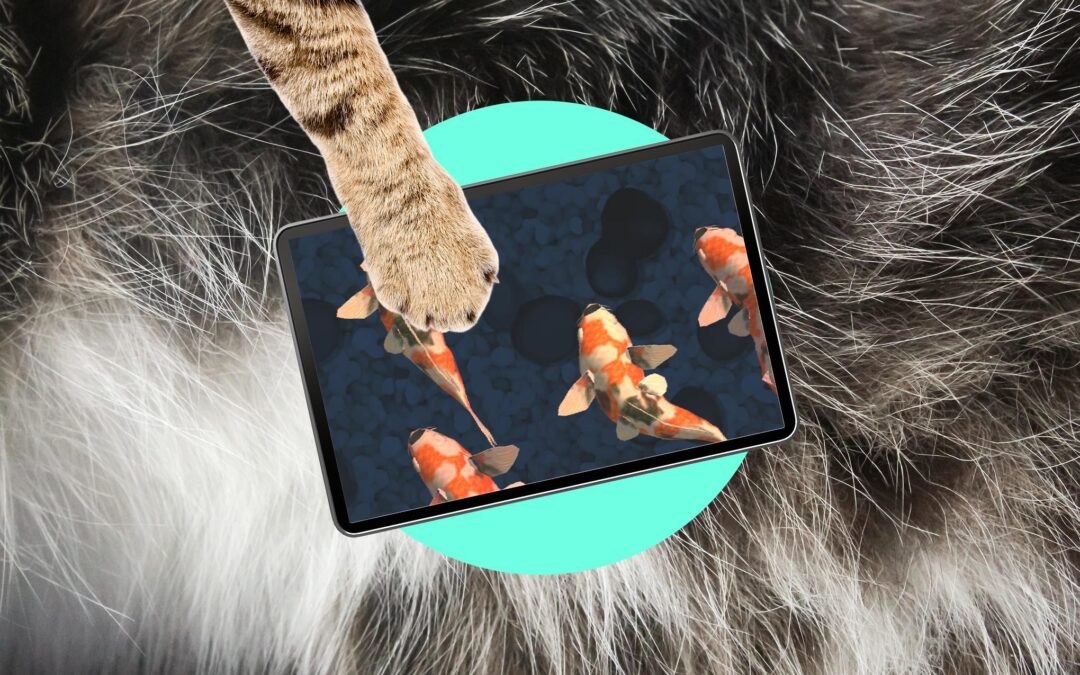 Oops! My cat is an iPad kid
