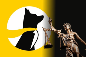 Aristotle exchange companies sue Underdog and CEO over acquisition dispute deal