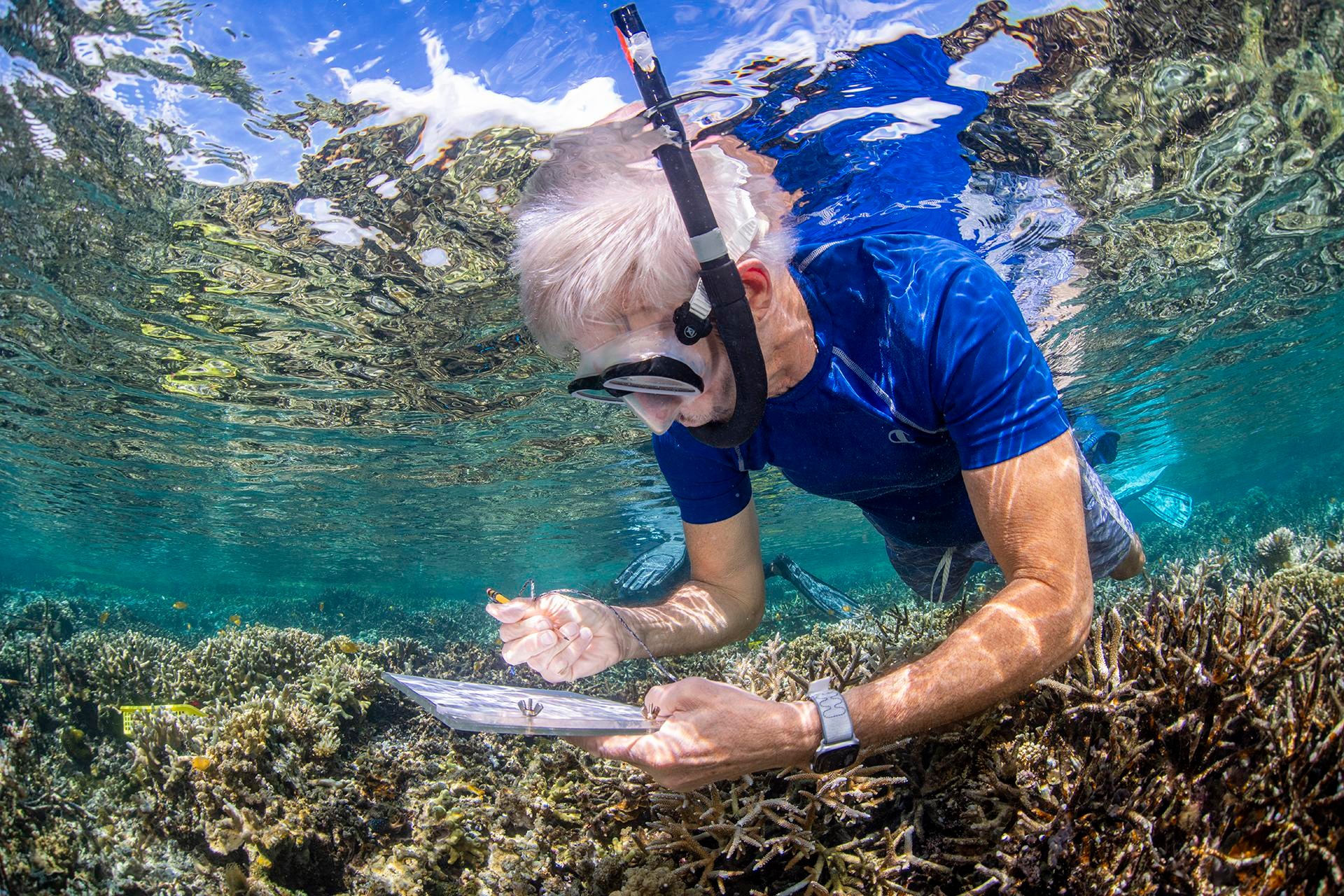 a man with white hair takes notes underwater while observing coral