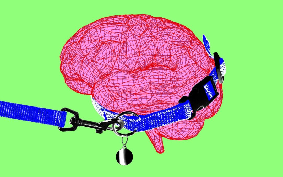 Trump’s AI testing plan is limited and vague