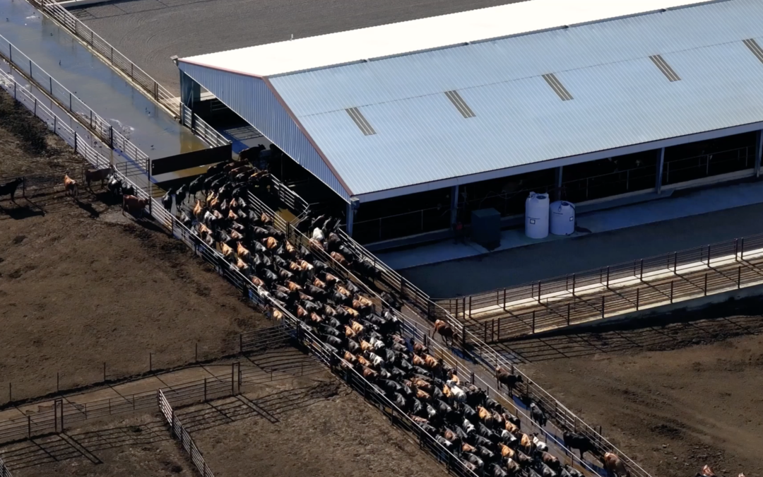 A Trump administration rule could stop a powerful tool for exposing animal cruelty