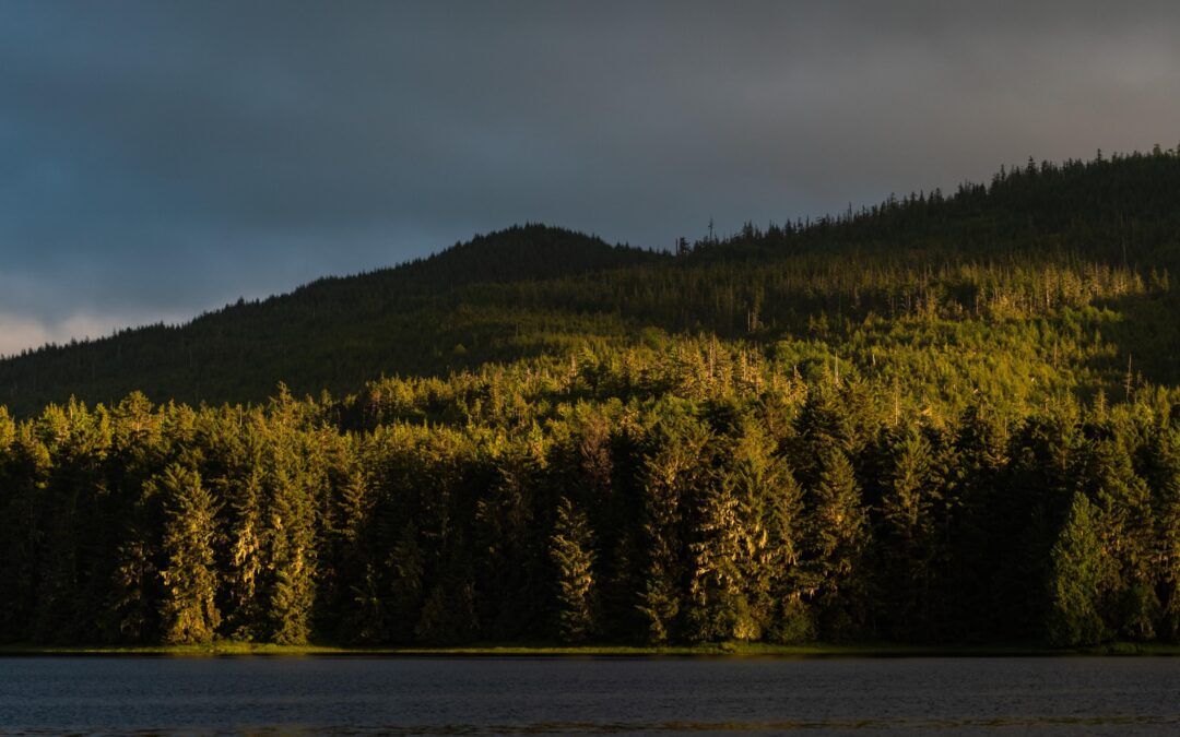 Trump’s latest assault on public lands