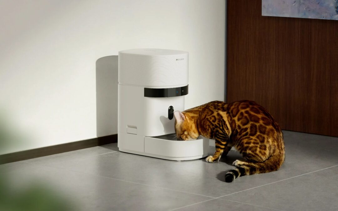 Cats and dogs are missing meals after a popular smart feeder went down