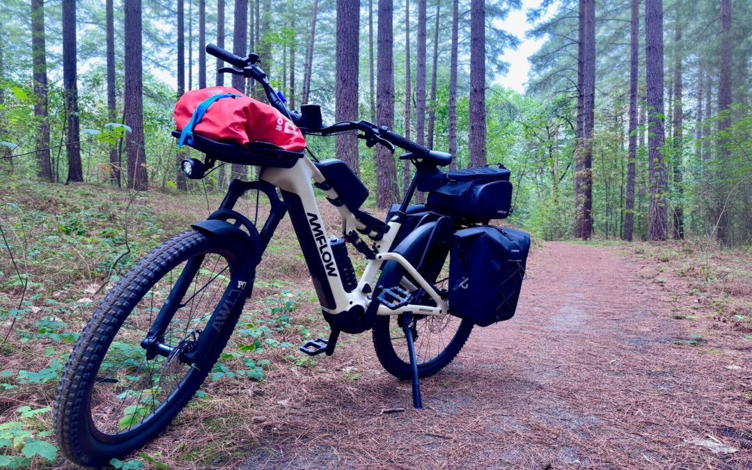 Can an ‘eSUV’ e-bike really go from trail to town?