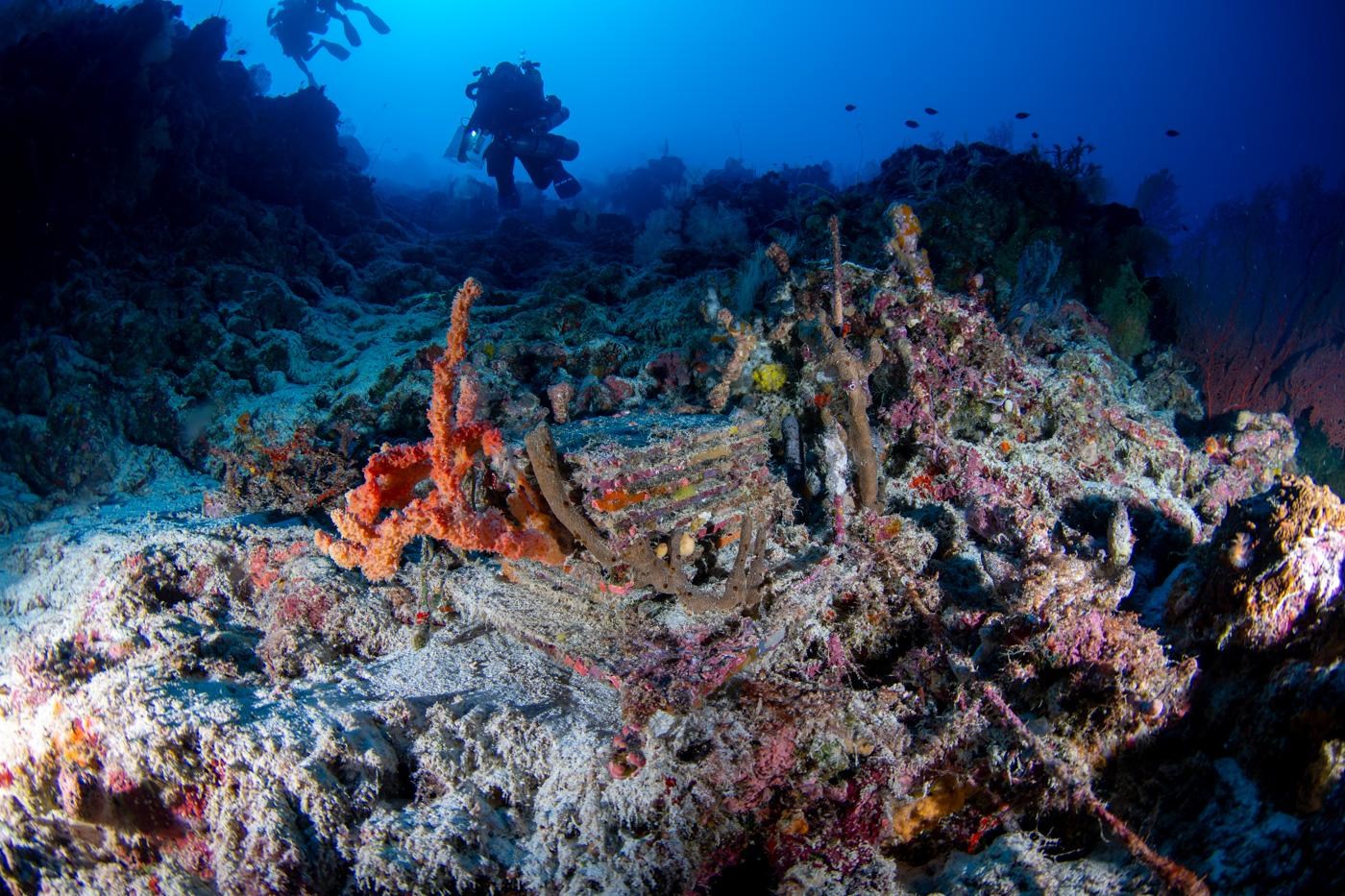 Life on the sea floor