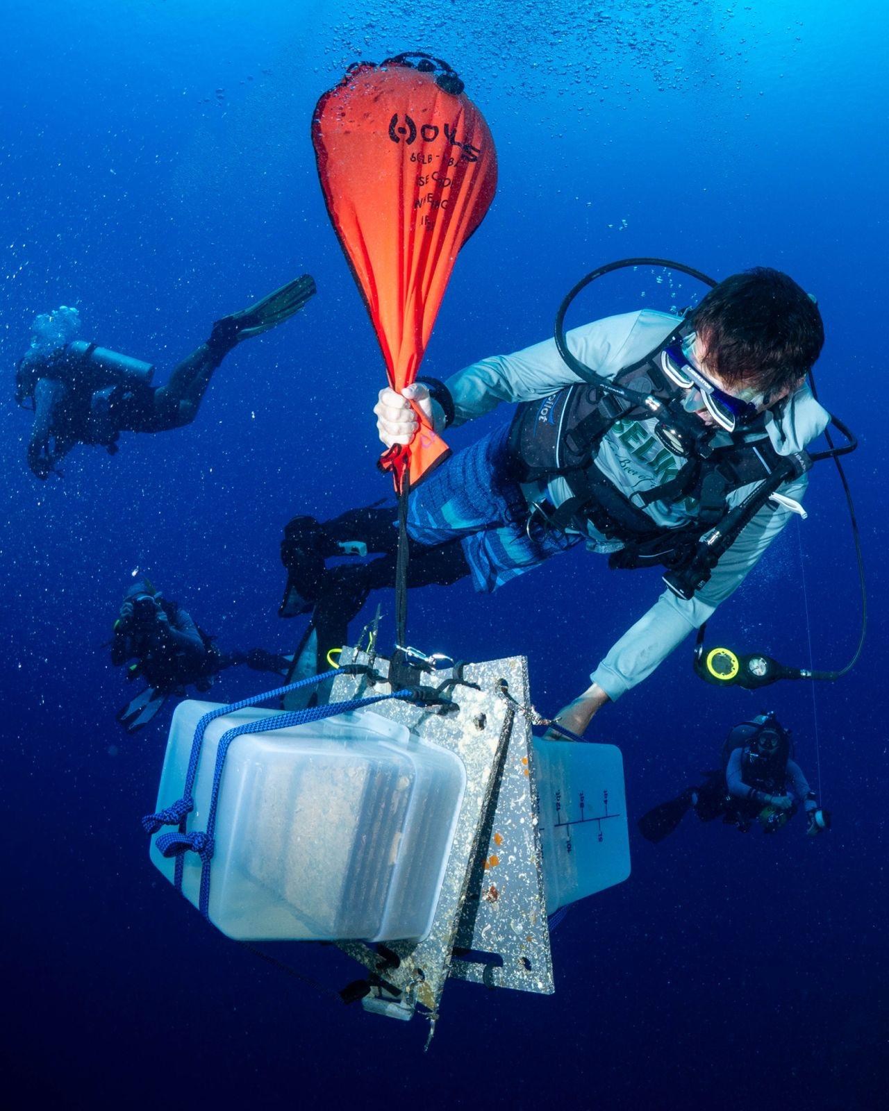 A diver carries a clear tub underwater