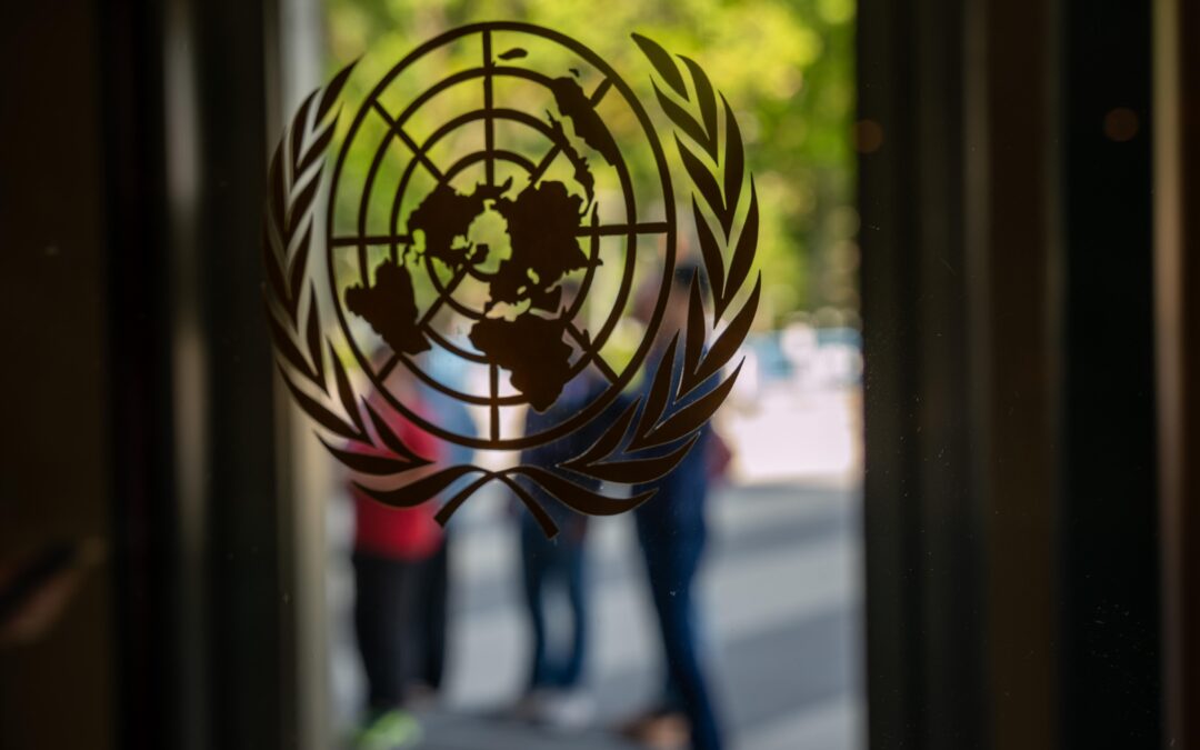 UN says AI safeguards can’t wait for certainty