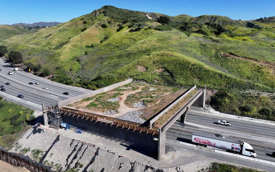 An elegant fix for one of America’s deadliest road problems