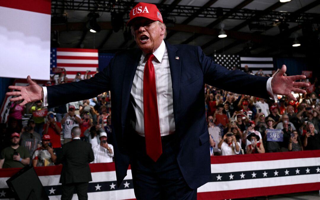 Trump puts himself on the ballot