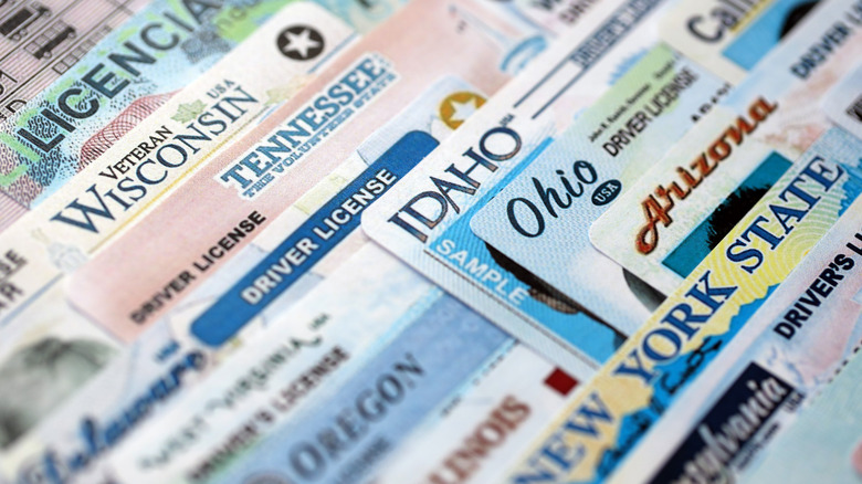IDScan is offering free credit monitoring and ID protection after leaking driver’s licenses