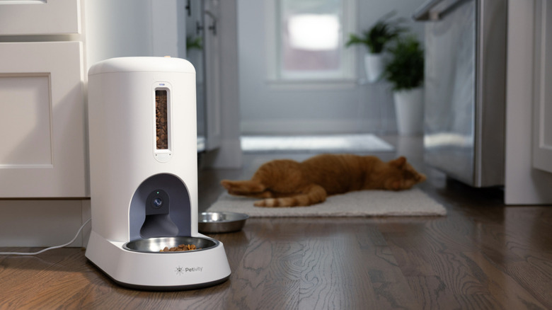 Petivity’s new smart feeder asks the question ‘what if Flock, but for cats?’