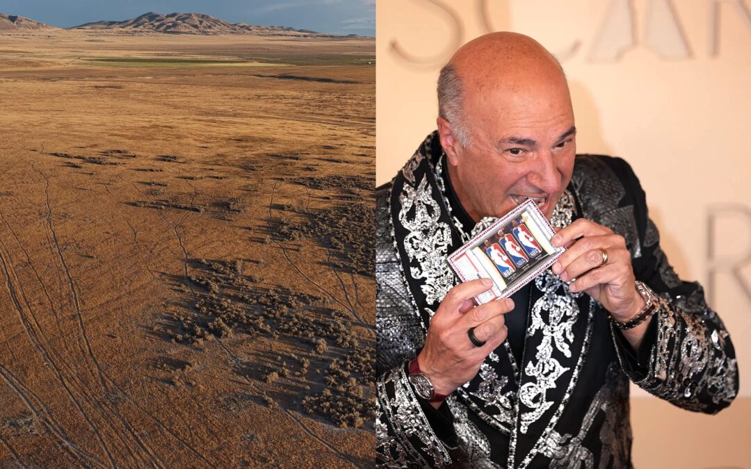 The People of Utah vs. Kevin O’Leary