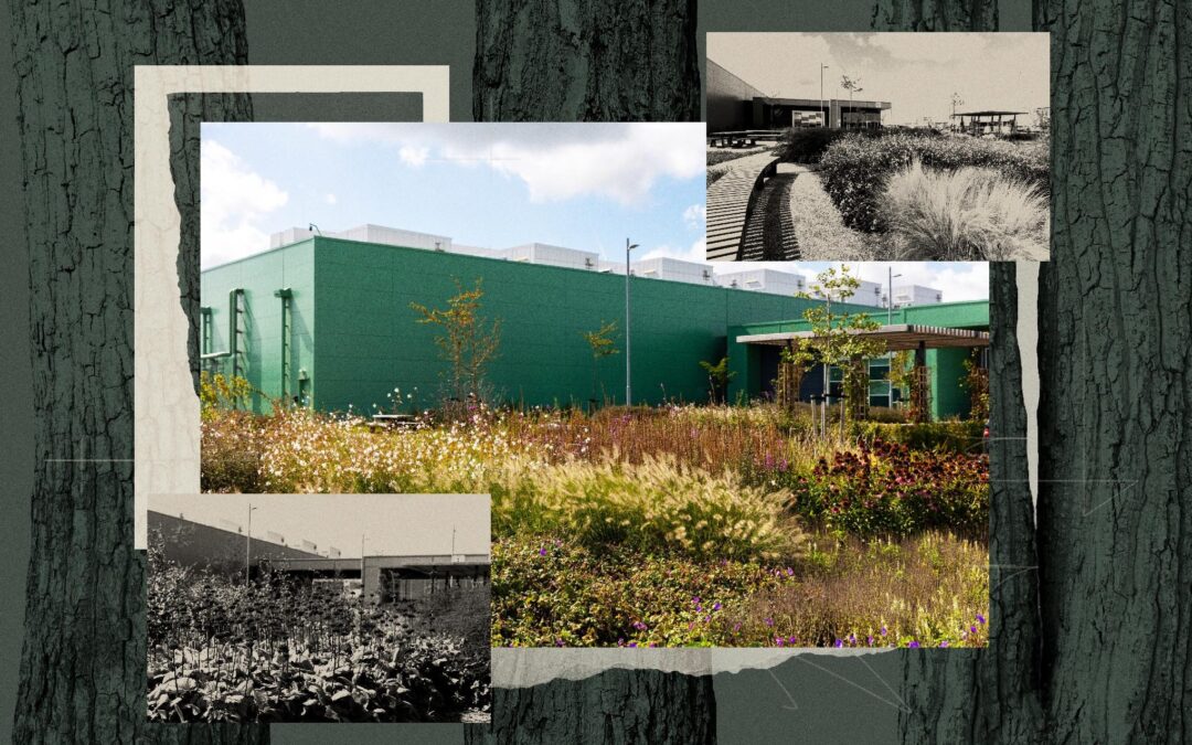 If a data center is camouflaged in the woods, will anyone hate it?