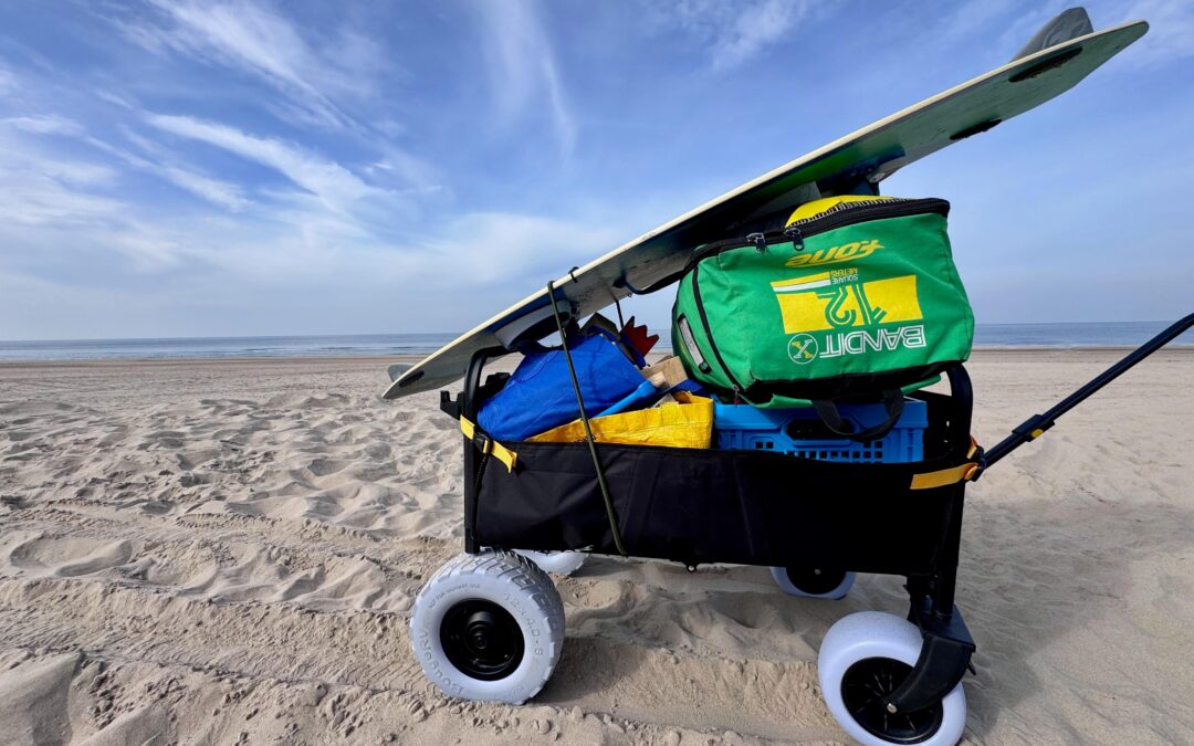 This remote-controlled wagon is silly but so very useful