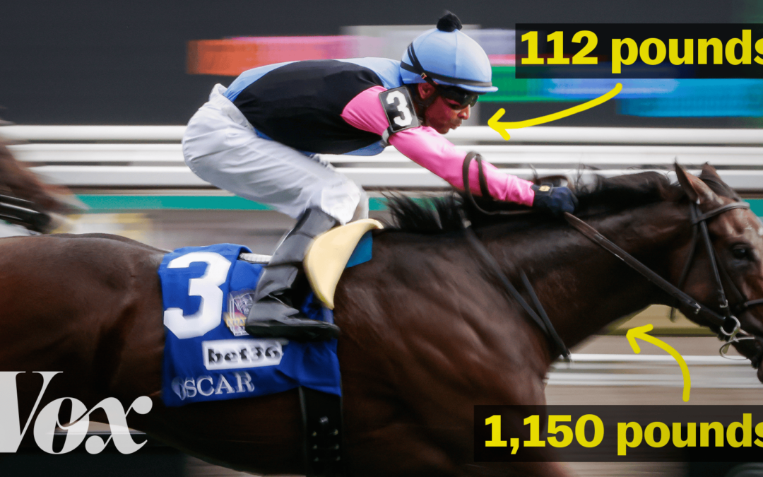 The two athletes in every horse race