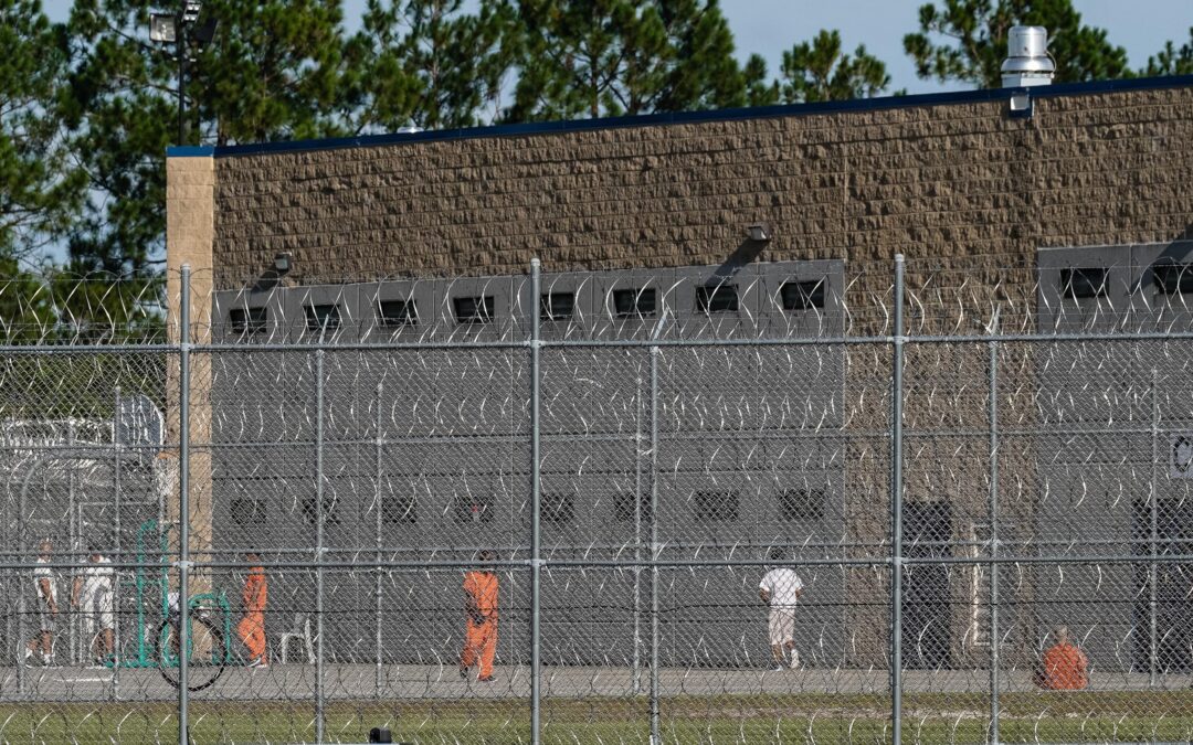 ICE detainees in Georgia used the facility’s video calling software to expose the conditions inside